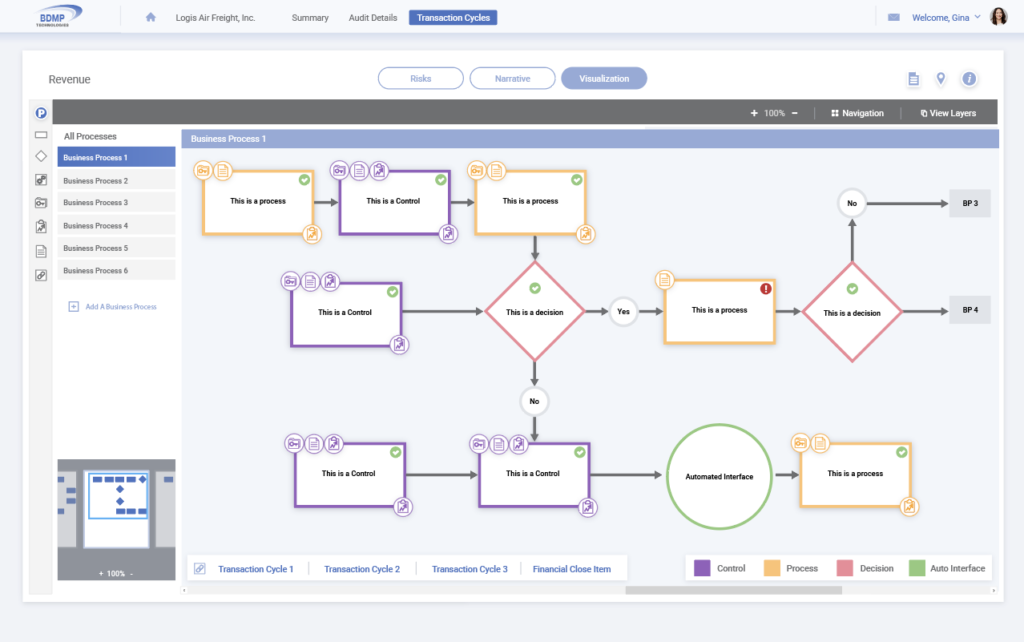 BDMP audit control process flowchart